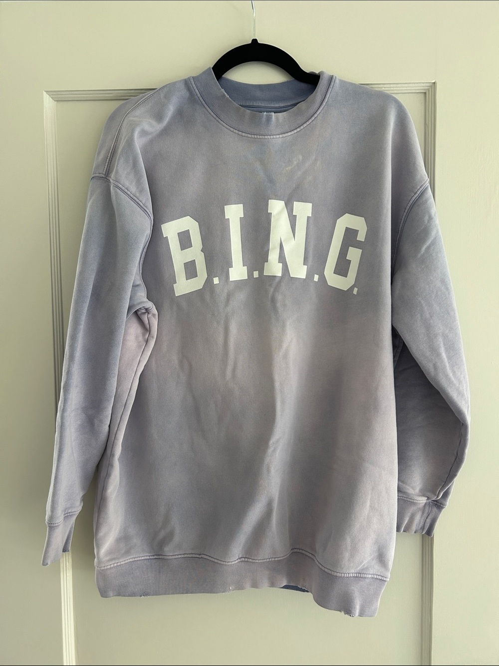 Anine Bing Sweatshirt